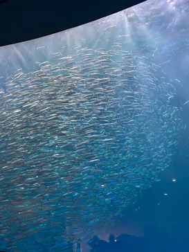 名古屋港水族館に投稿された画像（2022/10/16）