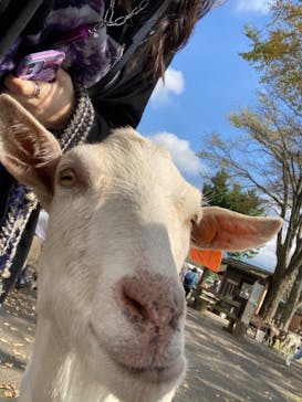 まかいの牧場に投稿された画像（2022/10/16）