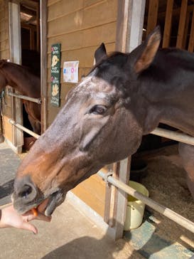 まかいの牧場に投稿された画像（2022/10/16）
