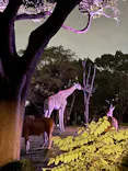 天王寺動物園に投稿された画像（2022/10/16）