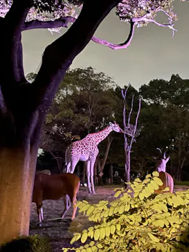 天王寺動物園に投稿された画像（2022/10/16）