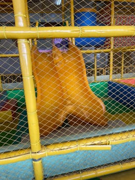 恵那峡ワンダーランドに投稿された画像（2022/10/16）