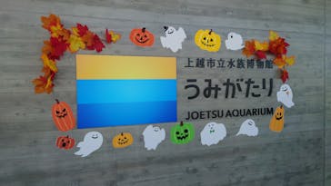 上越市立水族博物館 うみがたりに投稿された画像（2022/10/16）