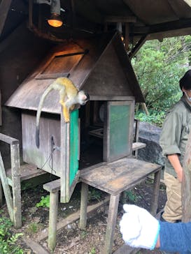 伊豆シャボテン動物公園に投稿された画像（2022/10/16）