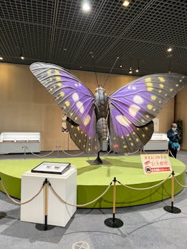 滋賀県立琵琶湖博物館に投稿された画像（2022/10/16）