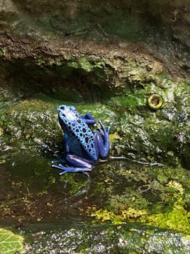 サンシャイン水族館に投稿された画像（2022/10/16）
