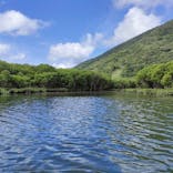 マングローブ茶屋に投稿された画像（2022/10/16）