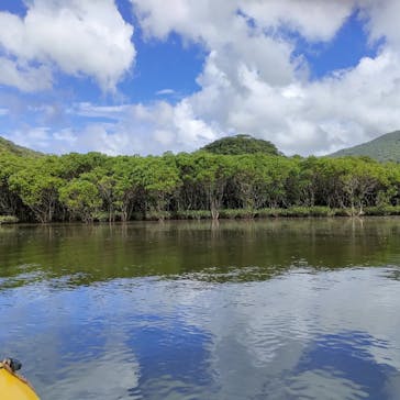 マングローブ茶屋に投稿された画像（2022/10/16）