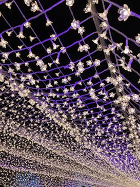 東京メガイルミに投稿された画像（2022/10/16）