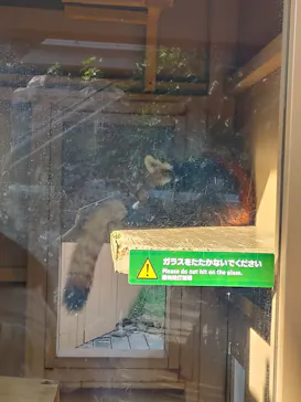 横浜・八景島シーパラダイスに投稿された画像（2022/10/16）