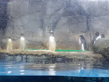 横浜・八景島シーパラダイスに投稿された画像（2022/10/16）