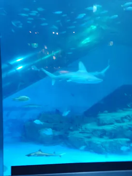 横浜・八景島シーパラダイスに投稿された画像（2022/10/16）