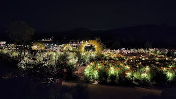 いばらきフラワーパークに投稿された画像（2022/10/16）