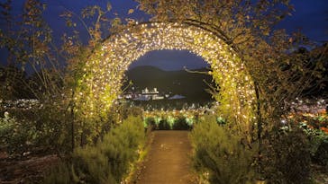 いばらきフラワーパークに投稿された画像（2022/10/16）