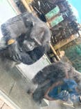 伊豆シャボテン動物公園に投稿された画像（2022/10/16）