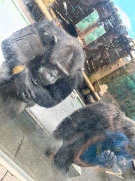 伊豆シャボテン動物公園に投稿された画像（2022/10/16）