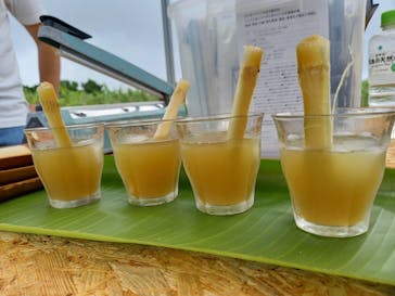 オルタナティブファーム宮古に投稿された画像（2022/10/16）