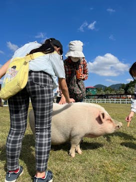 ワールド牧場に投稿された画像（2022/10/16）