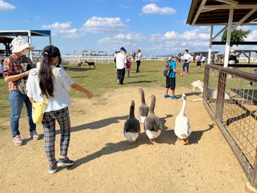 ワールド牧場に投稿された画像（2022/10/16）