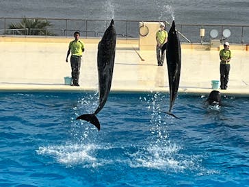 マリンワールド海の中道に投稿された画像（2022/10/16）