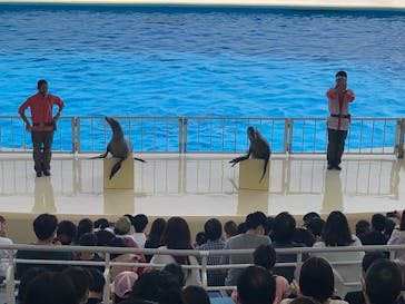 マリンワールド海の中道に投稿された画像（2022/10/16）