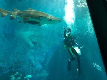 マリンワールド海の中道に投稿された画像（2022/10/16）