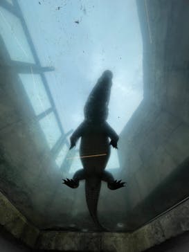 沖縄こどもの国に投稿された画像（2022/10/16）