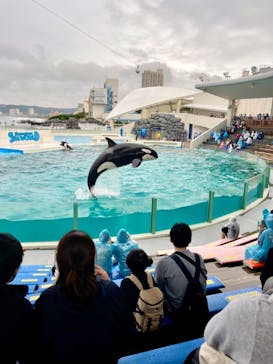 鴨川シーワールドに投稿された画像（2022/10/16）