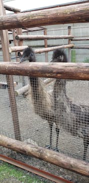 富士花鳥園に投稿された画像（2022/10/16）