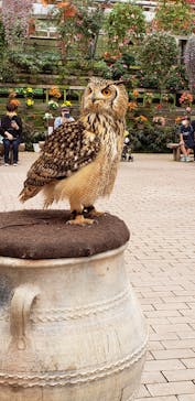 富士花鳥園に投稿された画像（2022/10/16）