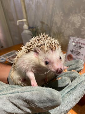 HARRY　原宿駅前店に投稿された画像（2022/10/16）