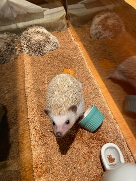 HARRY　原宿駅前店に投稿された画像（2022/10/16）