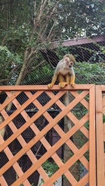 長崎バイオパークに投稿された画像（2022/10/17）