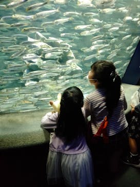 サンシャイン水族館に投稿された画像（2022/10/17）