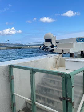 鴨川シーワールドに投稿された画像（2022/10/17）