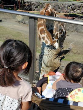 伊豆アニマルキングダムに投稿された画像（2022/10/17）