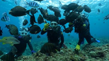 DIVING-SHOP SUNSに投稿された画像（2022/10/17）