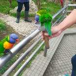 アロハガーデンたてやまに投稿された画像（2022/10/17）