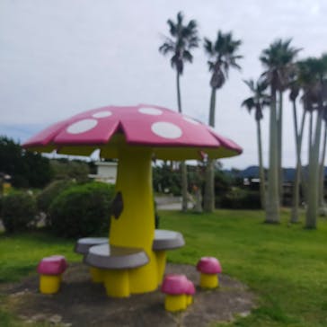 アロハガーデンたてやまに投稿された画像（2022/10/17）