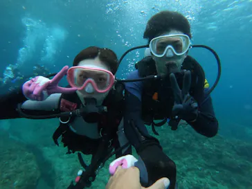 武藤潜水に投稿された画像（2022/10/17）