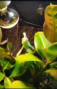 サケのふるさと 千歳水族館に投稿された画像（2022/10/17）