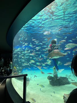 サンシャイン水族館に投稿された画像（2022/10/17）