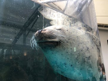 京都水族館に投稿された画像（2022/10/17）