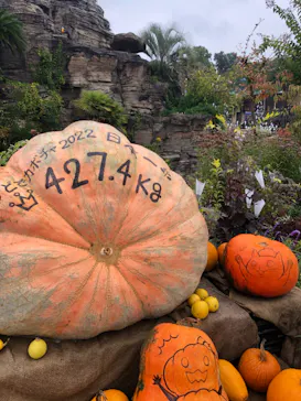 ひらかたパークに投稿された画像（2022/10/17）