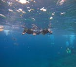 MalDive（モルダイブ）に投稿された画像（2022/10/17）