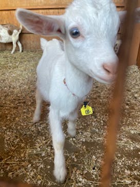 ワールド牧場に投稿された画像（2022/10/17）