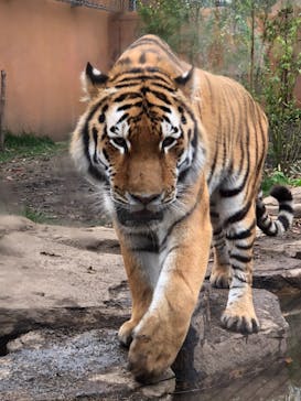 那須どうぶつ王国に投稿された画像（2022/10/17）