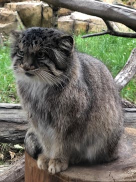 那須どうぶつ王国に投稿された画像（2022/10/17）