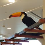 アニタッチみなとみらいに投稿された画像（2022/10/17）