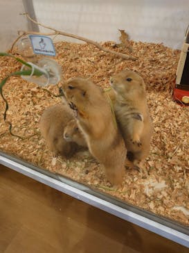 アニタッチみなとみらいに投稿された画像（2022/10/17）